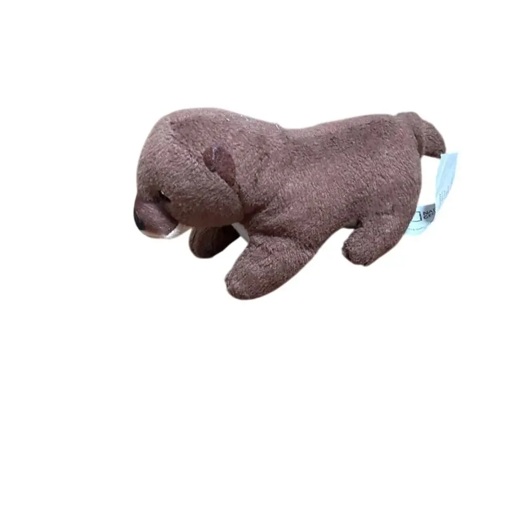 National Geographic Kids Small Plush Eurasian Otter Stuffed animal